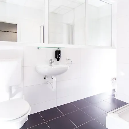 Design 101 Dalmatinac