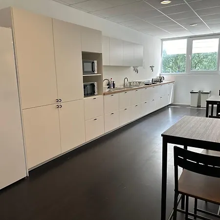 Design 101 Dalmatinac *