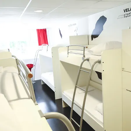 Design 101 Dalmatinac *