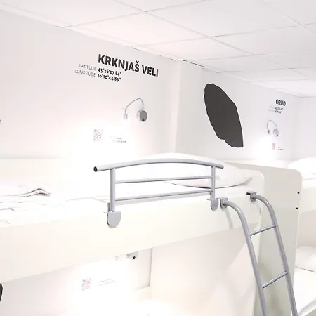 Design 101 Dalmatinac * سبليت