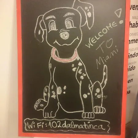 Design 101 Dalmatinac *