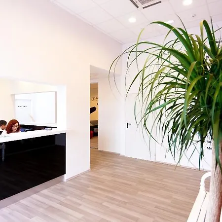 Design 101 Dalmatinac سبليت