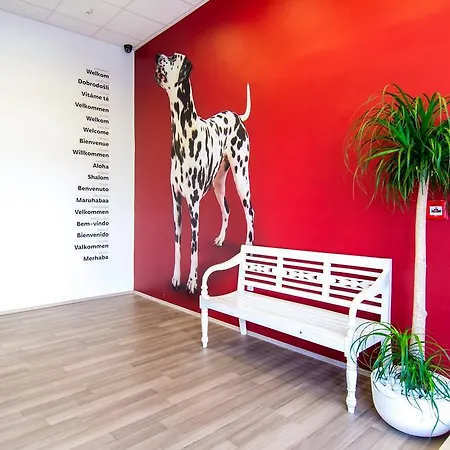 Design 101 Dalmatinac * Split