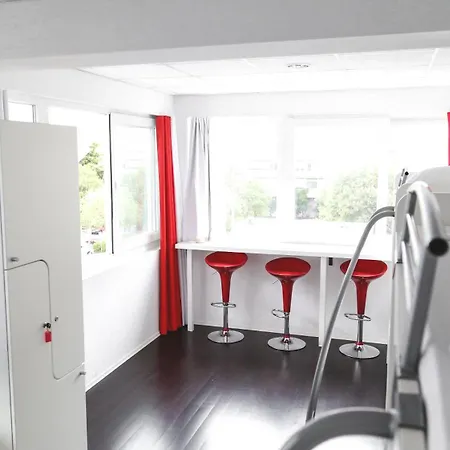 Design 101 Dalmatinac *