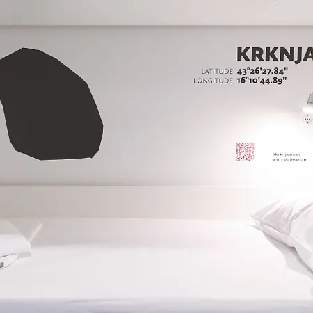 Design 101 Dalmatinac *