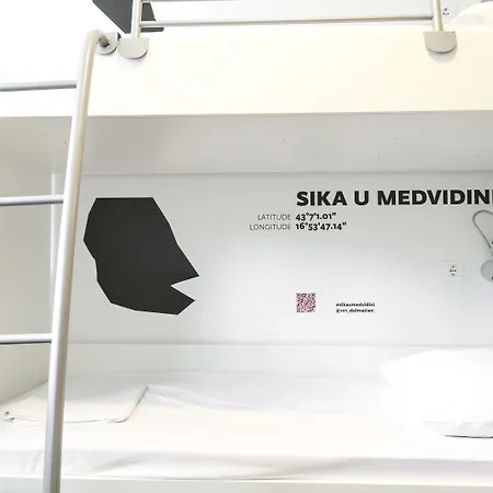 Design 101 Dalmatinac *