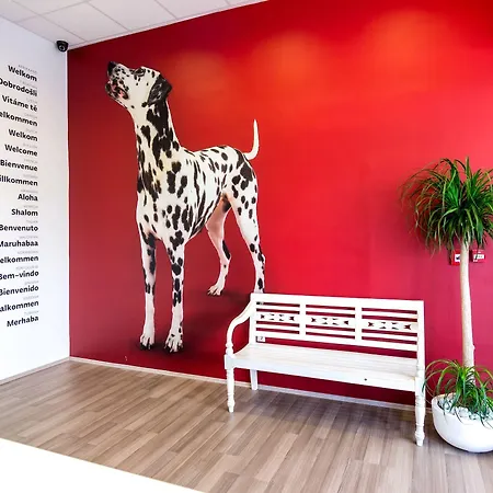 Design 101 Dalmatinac Split