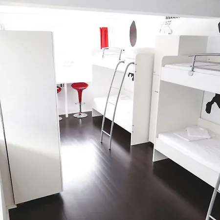 Design 101 Dalmatinac *