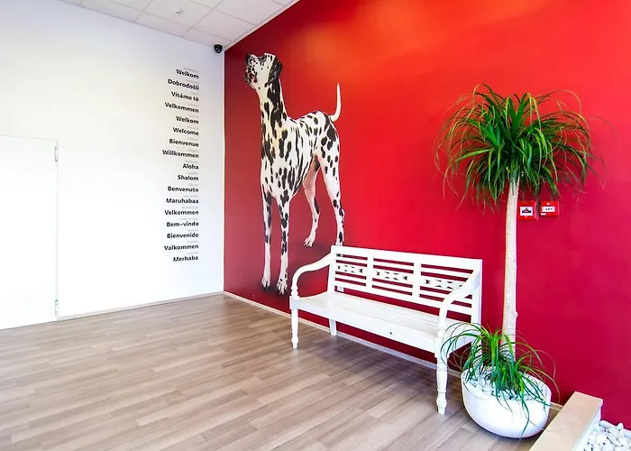 Design 101 Dalmatinac * Σπλιτ