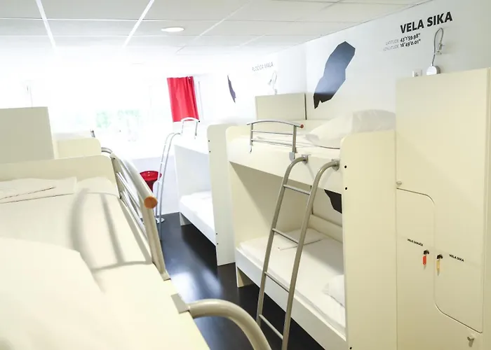 Design 101 Dalmatinac * Σπλιτ