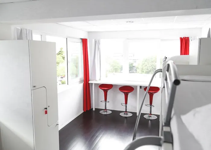 Design 101 Dalmatinac *