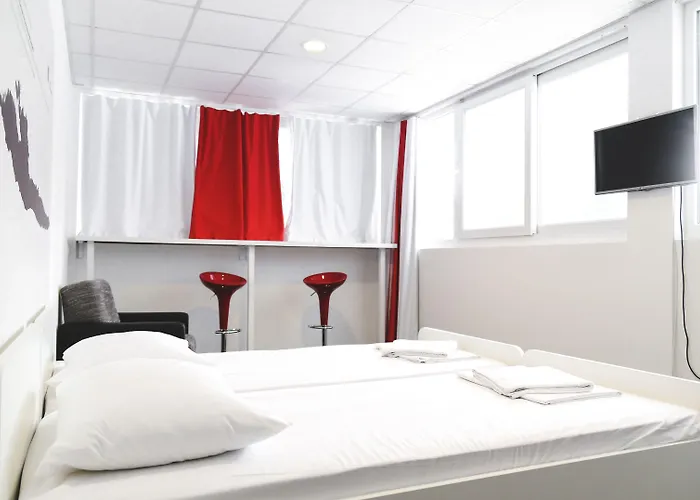 Design 101 Dalmatinac *