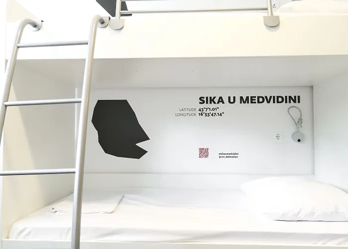 Design 101 Dalmatinac *