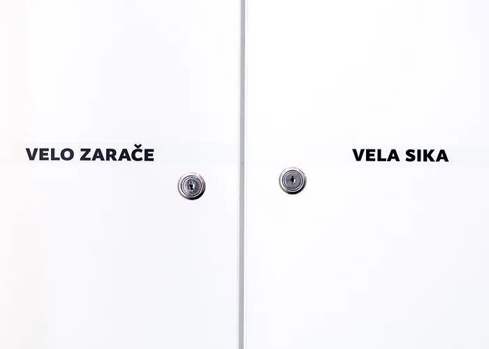 Design 101 Dalmatinac *