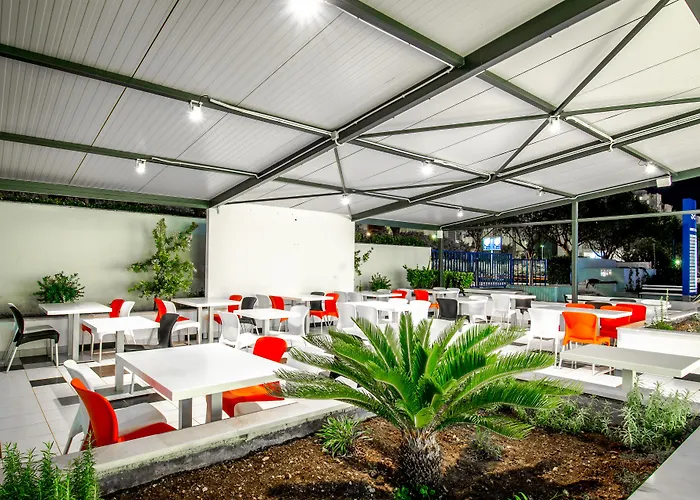 Design 101 Dalmatinac *