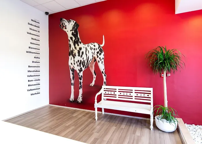 Design 101 Dalmatinac スプリト