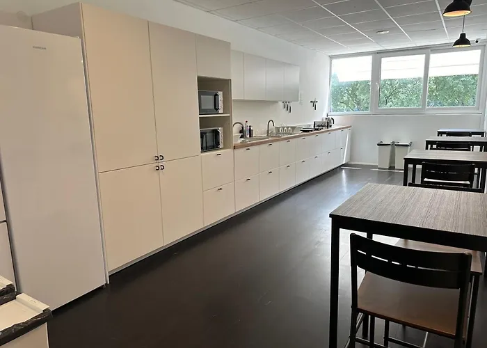 Design 101 Dalmatinac *