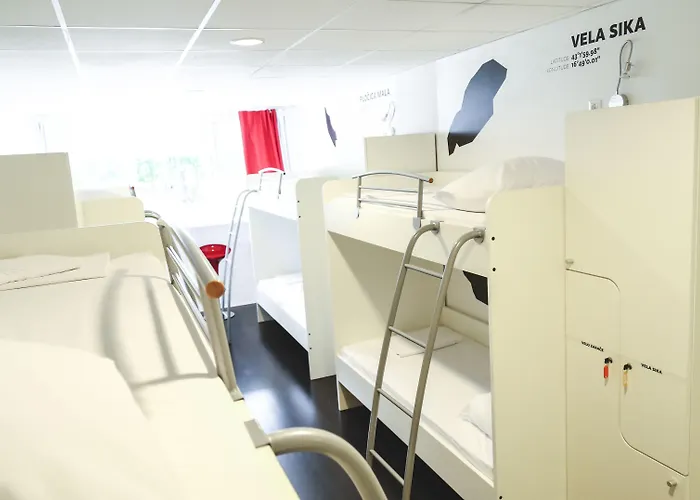 Design 101 Dalmatinac *