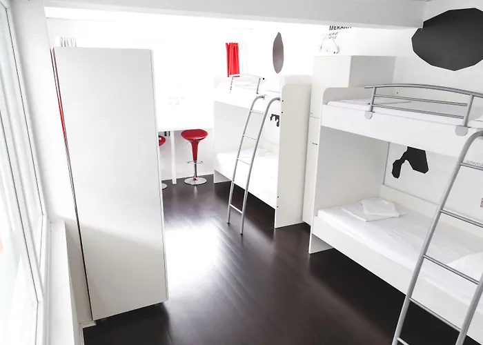 Design 101 Dalmatinac *